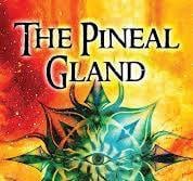 Pineal Gaurdian-bonus1